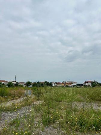 immagine annuncio 7 di 14