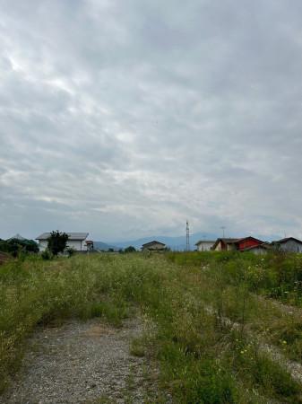 immagine annuncio 9 di 14