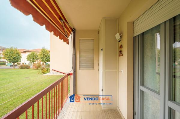 immagine annuncio 7 di 15