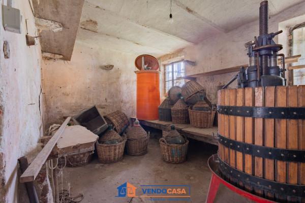 immagine annuncio 12 di 15