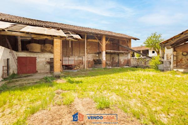 immagine annuncio 10 di 15