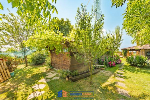 immagine annuncio 11 di 15