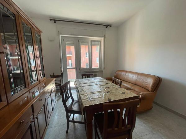 immagine annuncio 5 di 12