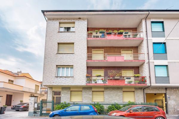 immagine annuncio 12 di 14