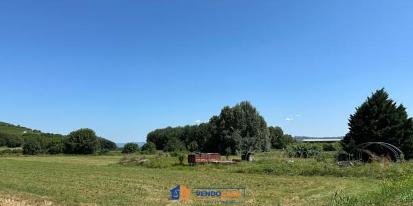 immagine annuncio 4 di 7