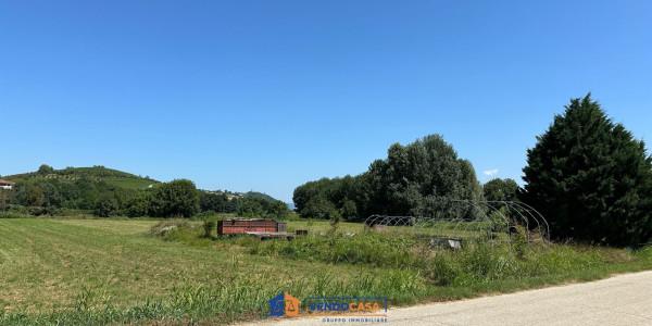 immagine annuncio 3 di 7