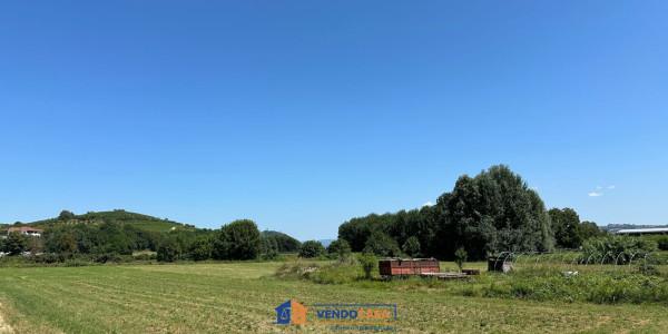 immagine annuncio 6 di 7