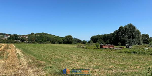 immagine annuncio 5 di 7