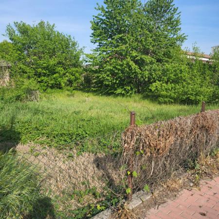 immagine annuncio 3 di 6