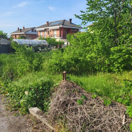 immagine annuncio 4 di 6