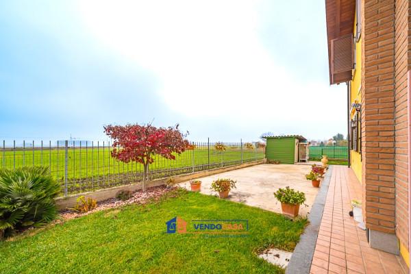 immagine annuncio 5 di 15