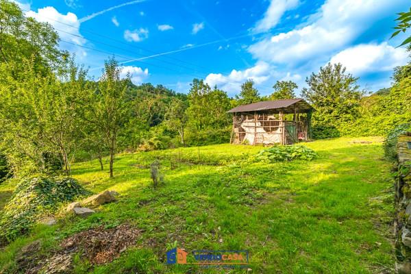 immagine annuncio 5 di 13