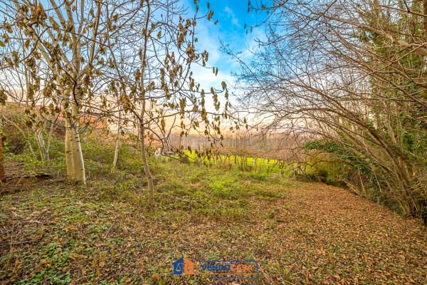 immagine annuncio 3 di 9