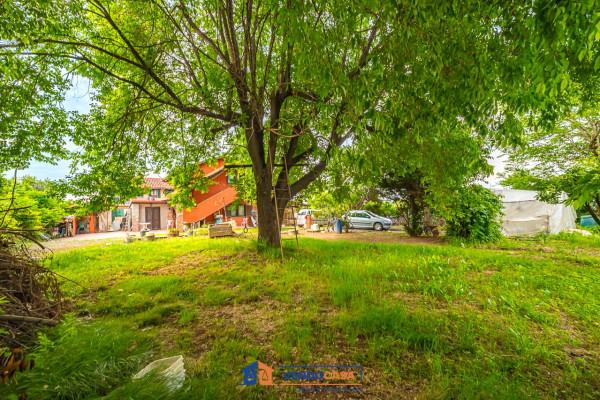 immagine annuncio 2 di 9