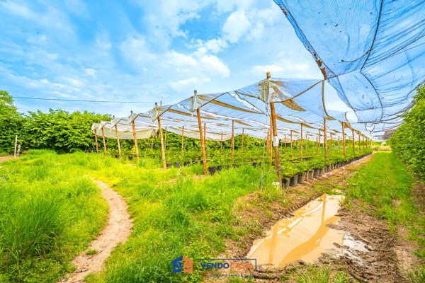 immagine annuncio 7 di 9