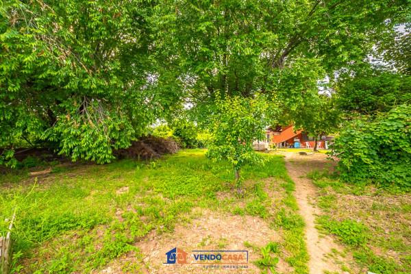 immagine annuncio 5 di 9