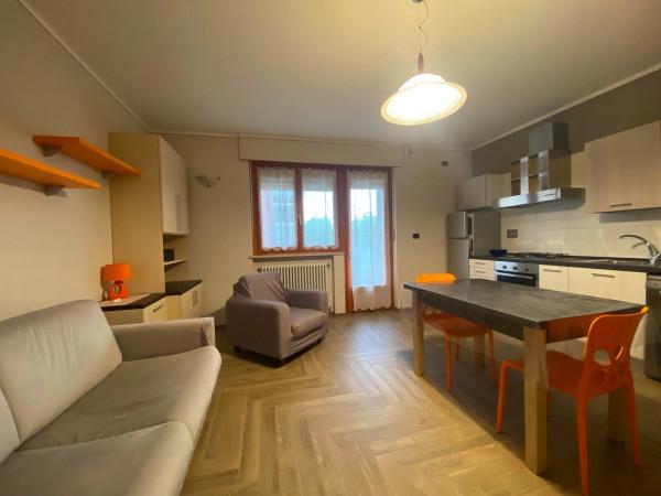 immagine annuncio 4 di 14