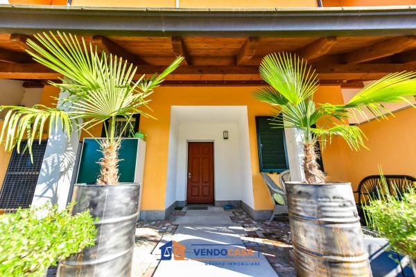 immagine annuncio 11 di 15