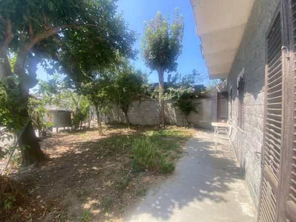 immagine annuncio 8 di 13