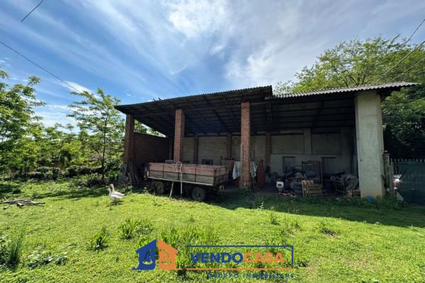 immagine annuncio 9 di 14