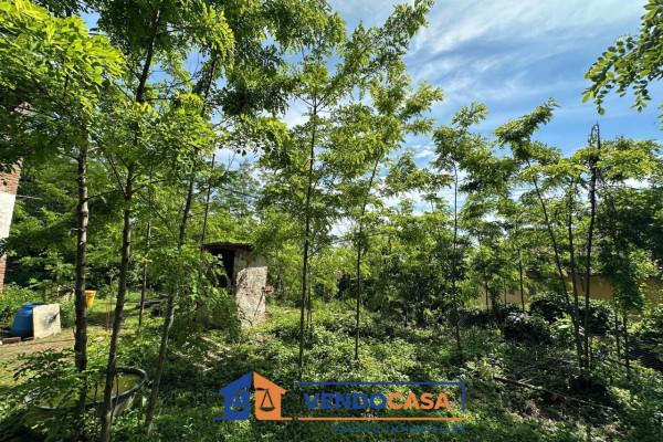 immagine annuncio 11 di 14