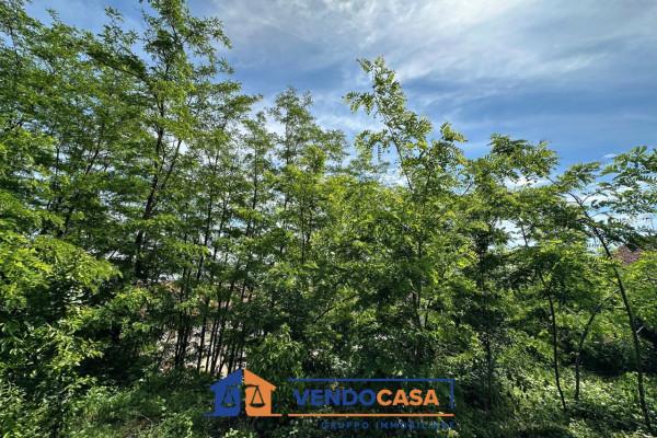 immagine annuncio 12 di 14