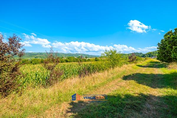 immagine annuncio 4 di 14