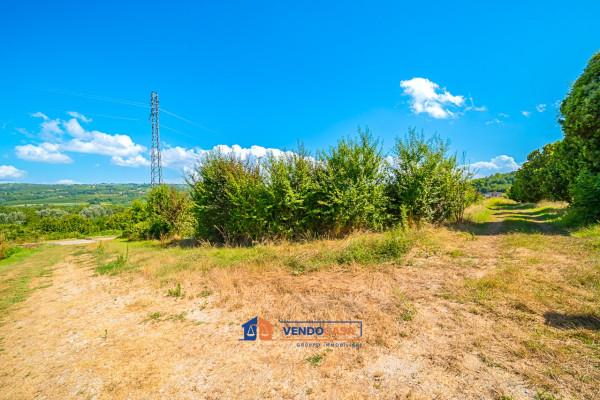 immagine annuncio 5 di 14