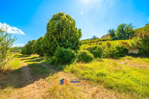 immagine annuncio 6 di 14