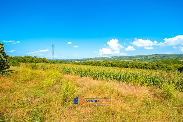 immagine annuncio 11 di 14