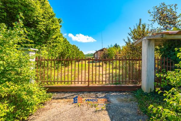 immagine annuncio 7 di 14