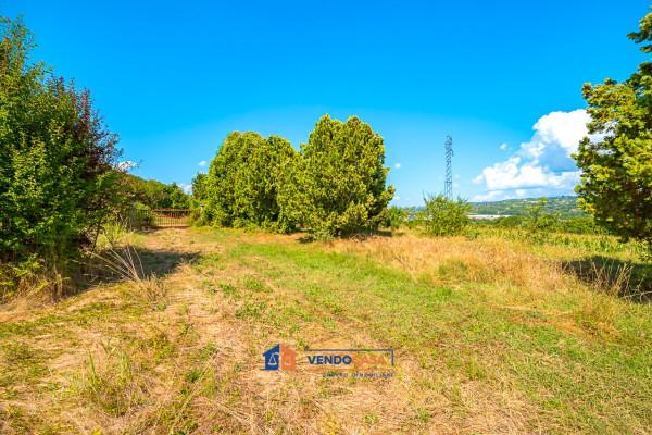 immagine annuncio 8 di 14