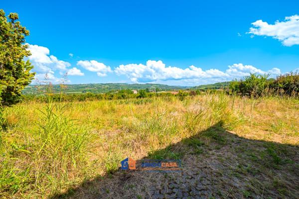 immagine annuncio 9 di 14