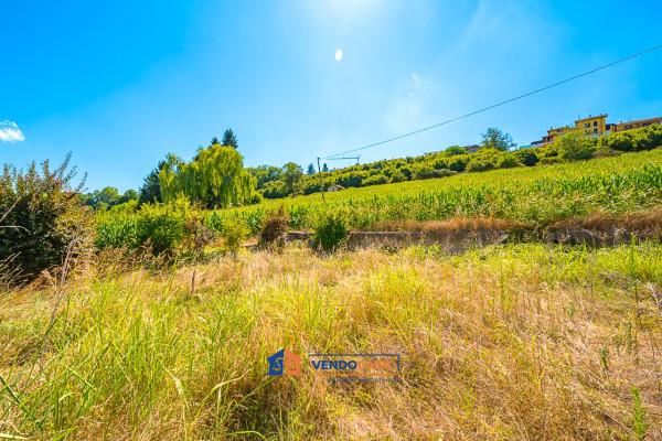 immagine annuncio 12 di 14