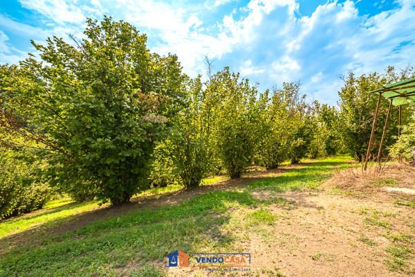 immagine annuncio 6 di 8