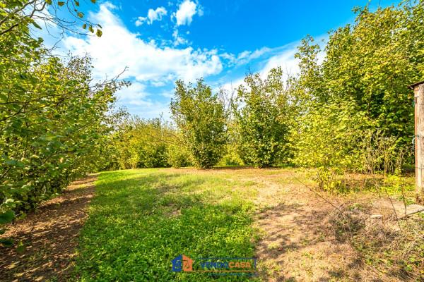 immagine annuncio 4 di 8