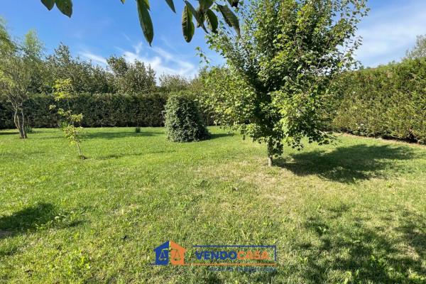 immagine annuncio 6 di 14