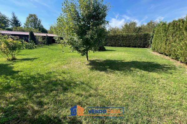 immagine annuncio 10 di 14