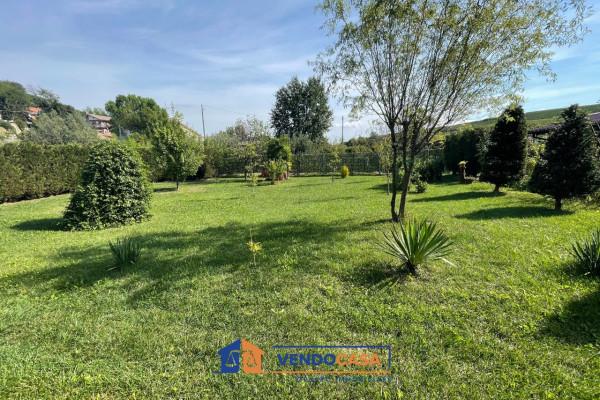 immagine annuncio 12 di 14