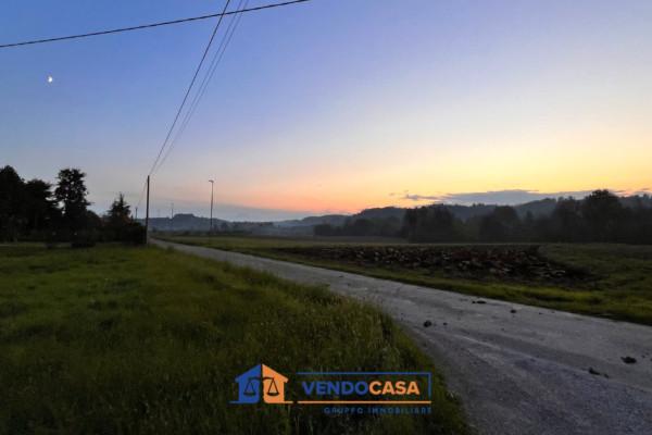 immagine annuncio 2 di 4