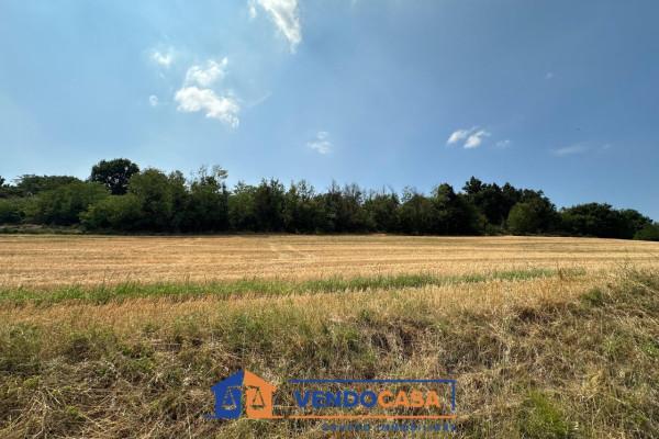 immagine annuncio 4 di 9