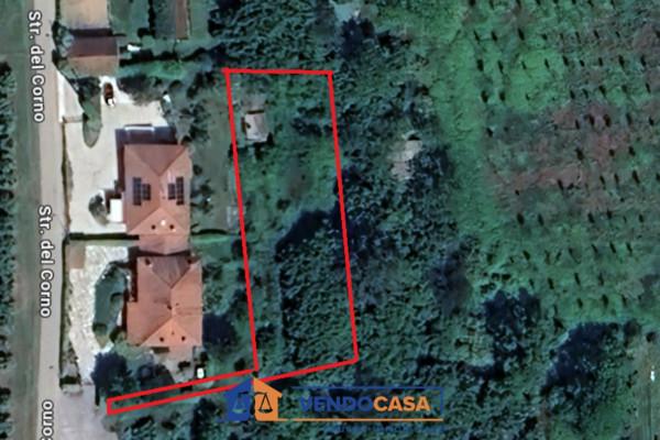 immagine annuncio 5 di 9