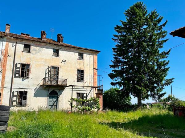 immagine annuncio 5 di 14