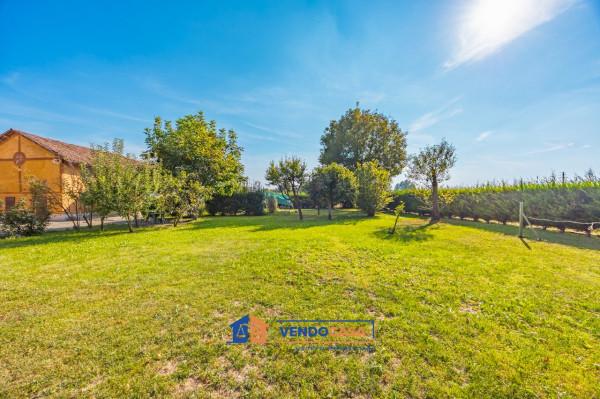 immagine annuncio 7 di 15