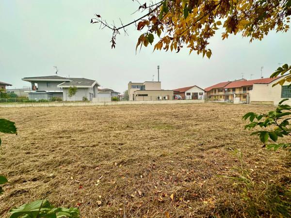 immagine annuncio 11 di 15