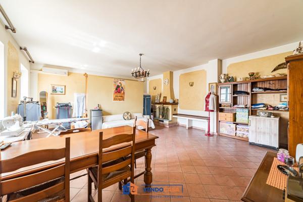 immagine annuncio 6 di 15