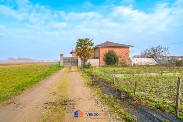 immagine annuncio 10 di 14