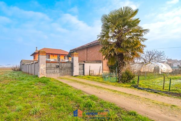 immagine annuncio 11 di 14