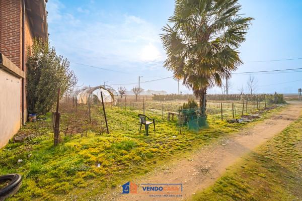 immagine annuncio 9 di 14