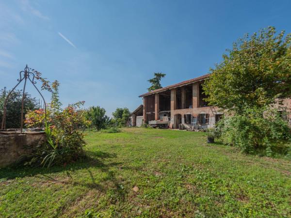 immagine annuncio 4 di 6